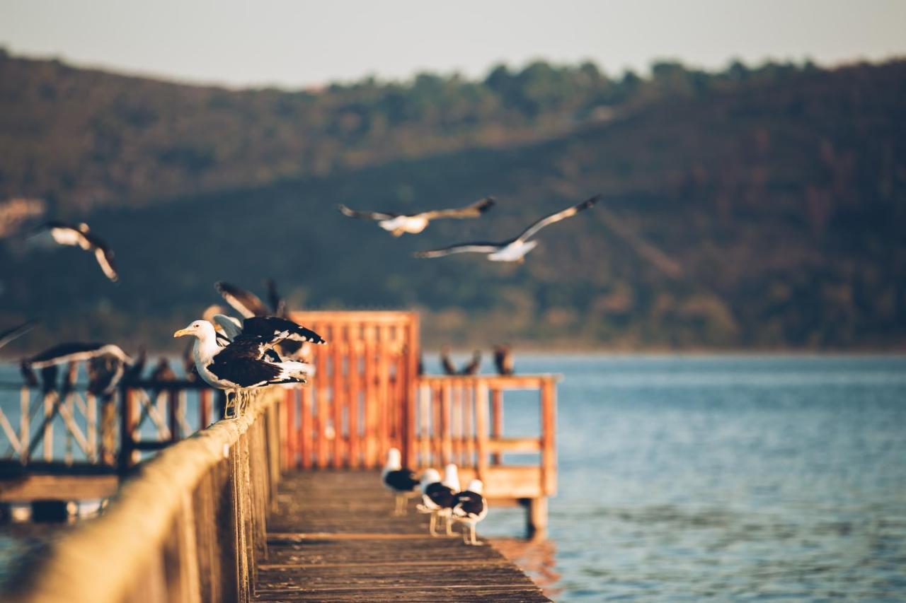 Oyster Creek Lodge Knysna Exterior photo